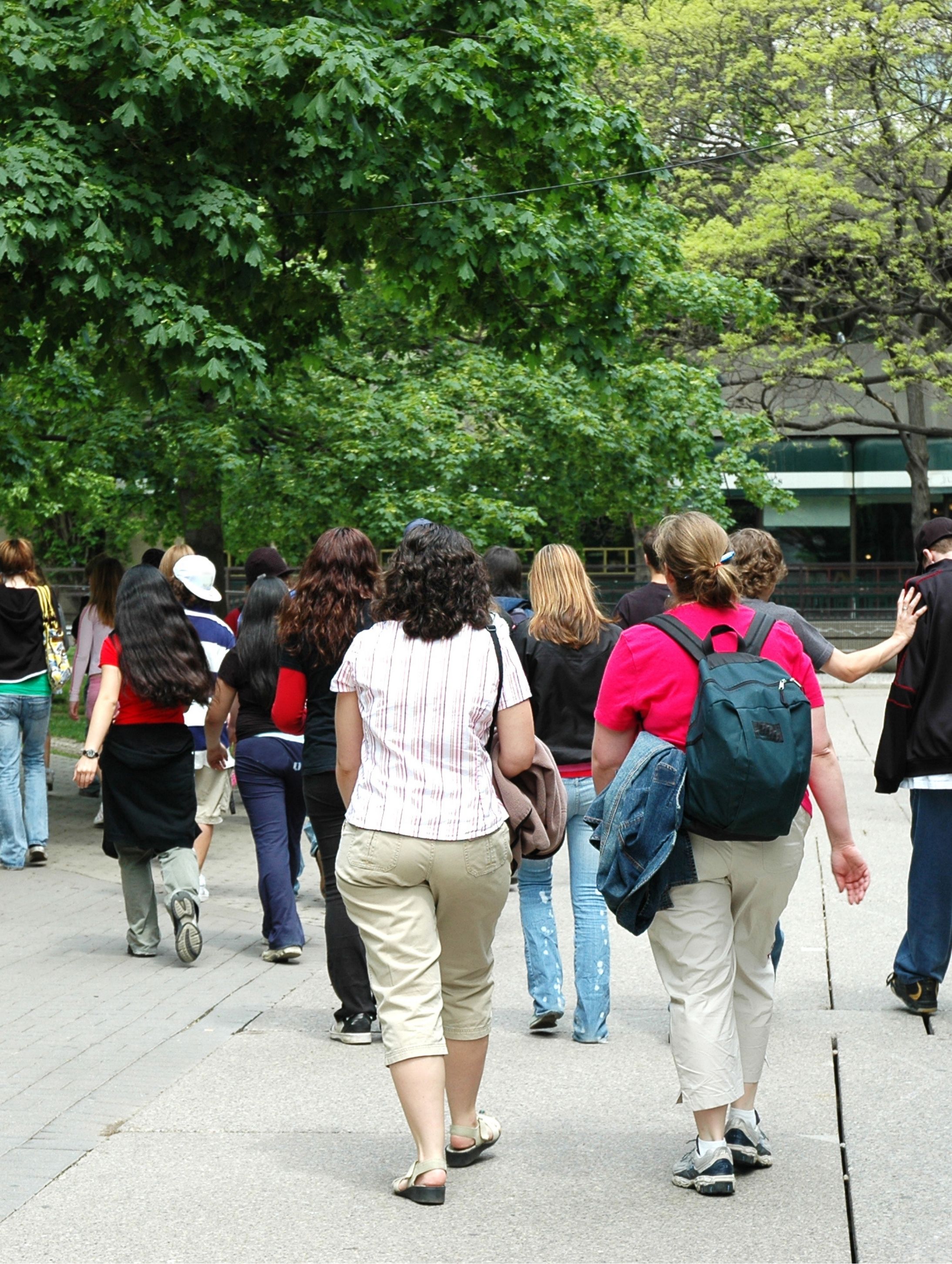 Group Tours