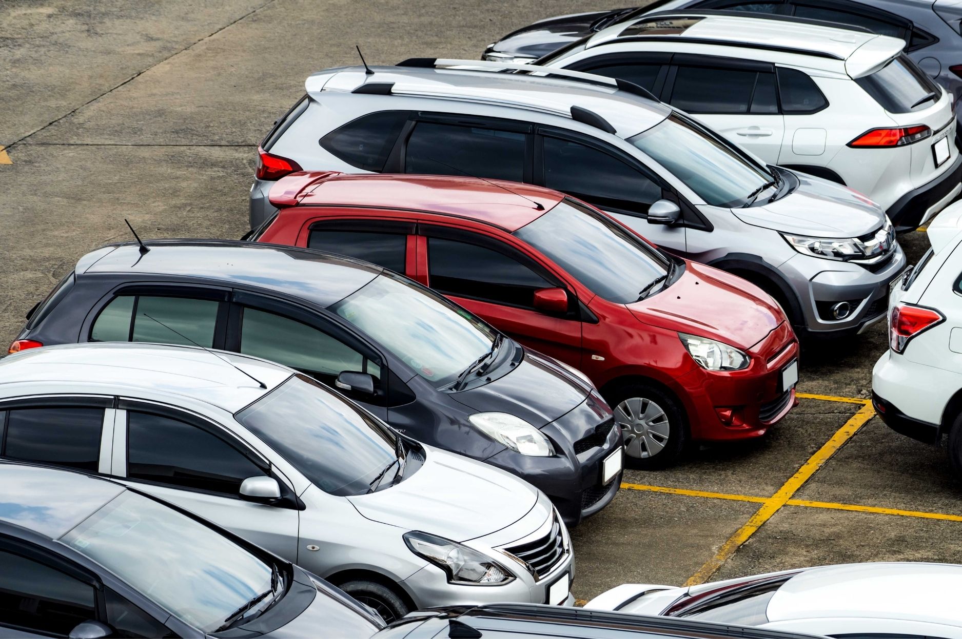 Vehicle Rentals